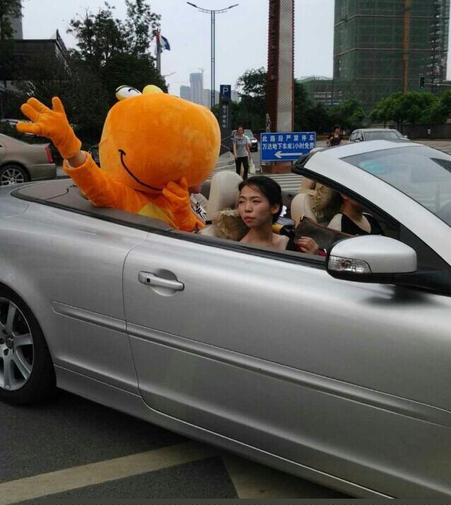 全城捕龙大赛 全城捕龙大赛