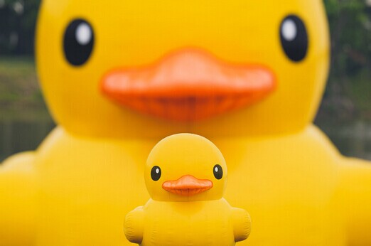 BBunion早教 BBunion早教